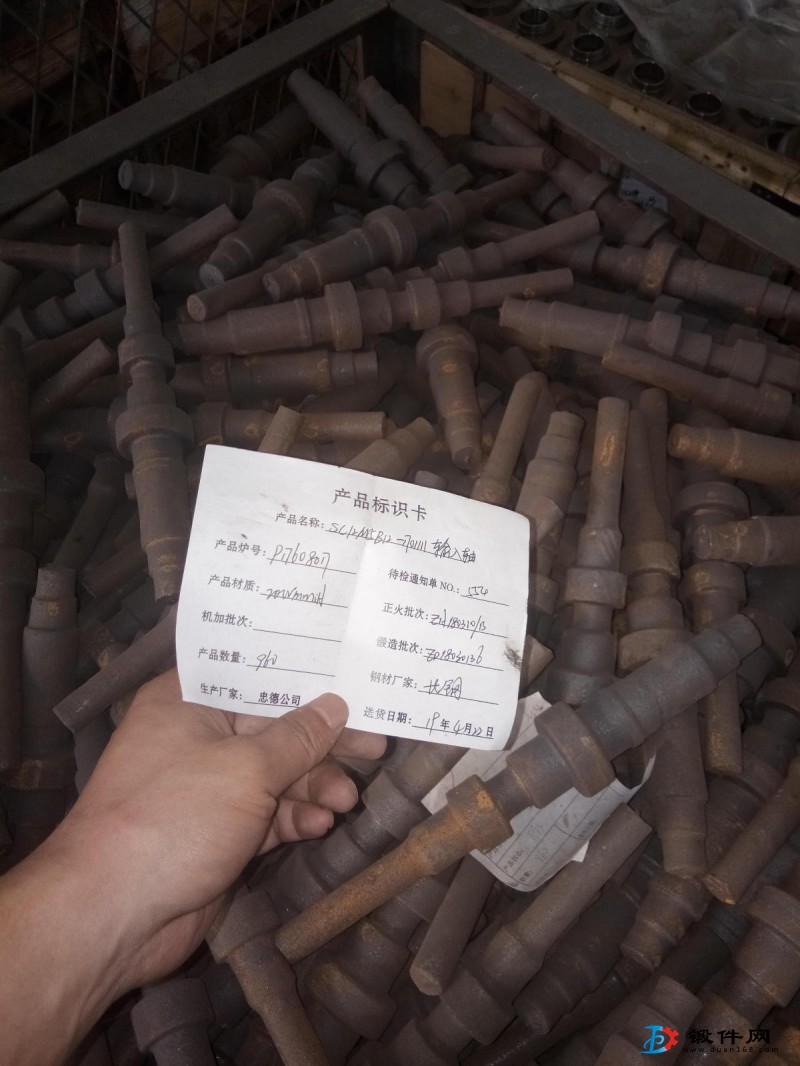 軸類，盤齒類的鍛件及精坯