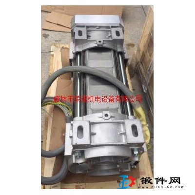 意大利進口 45KW油侵式電機