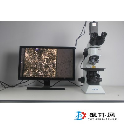 南通本地金相分析多少錢